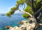 2019 08-IMG 8475 : Cavtat2019, iPhone6s, semester